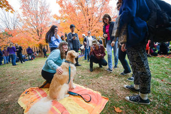 Mason students petting emotional support dogs on campus with autumn leaves in the background.